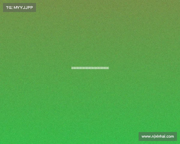 东契奇节奏大师级表演两次慢悠悠上篮轻松取分精彩回放